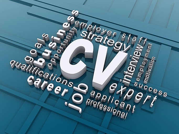Research and commentary by The CV & Interview Advisors